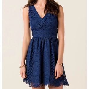 Francesca’s Vivent Lace Dress